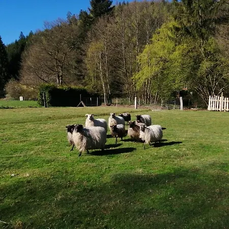 Ferienhaus La Gambas Des Bois