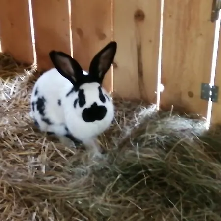 La Gambas Des Bois Hébergement de vacances