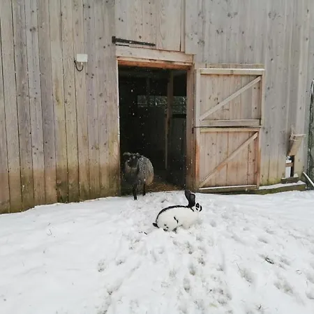 La Gambas Des Bois בית נופש Saint-Quirin