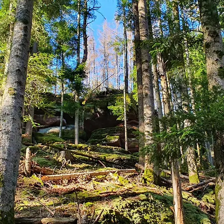La Gambas Des Bois Ferienhaus