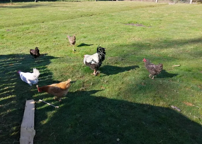 La Gambas Des Bois Prázdninový dům *