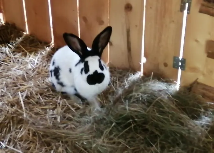 La Gambas Des Bois Prázdninový dům