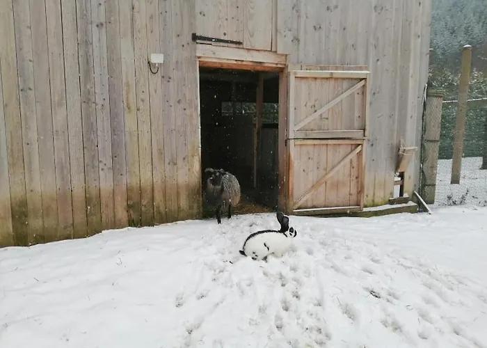 La Gambas Des Bois Prázdninový dům Saint-Quirin