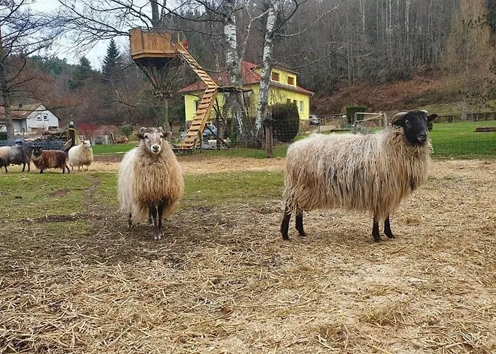 Prázdninový dům La Gambas Des Bois *