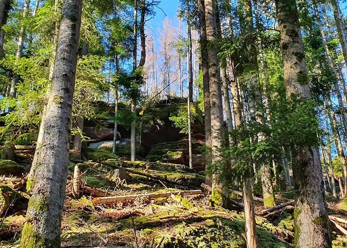 La Gambas Des Bois Prázdninový dům